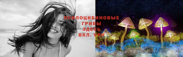 молекула духа Надым