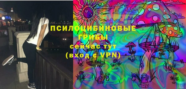 молекула духа Надым