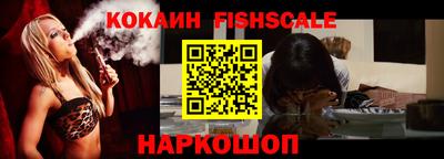 индика Бийск
