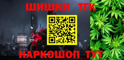 индика Бийск