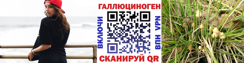 Галлюциногенные грибы мицелий  Волжский 